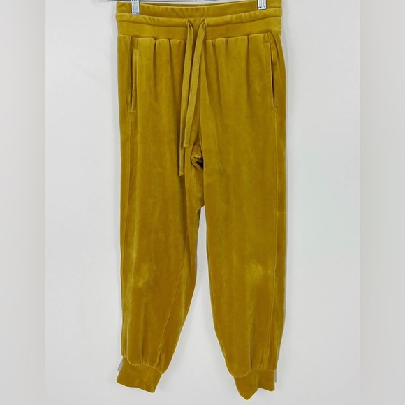Anthropologie Saturday Sunday Merida Velvet Joggers Size XS - Picture 4 of 6
